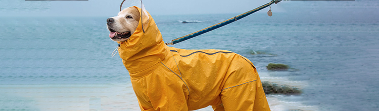 Pet raincoat-jinjiaraincoats